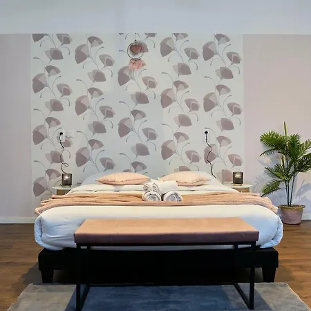 Ng Suitehome - Lille L Roubaix L Mairie - Gare L Nain - Grand Studio - Balneo - Netflix - Wifi Extérieur photo