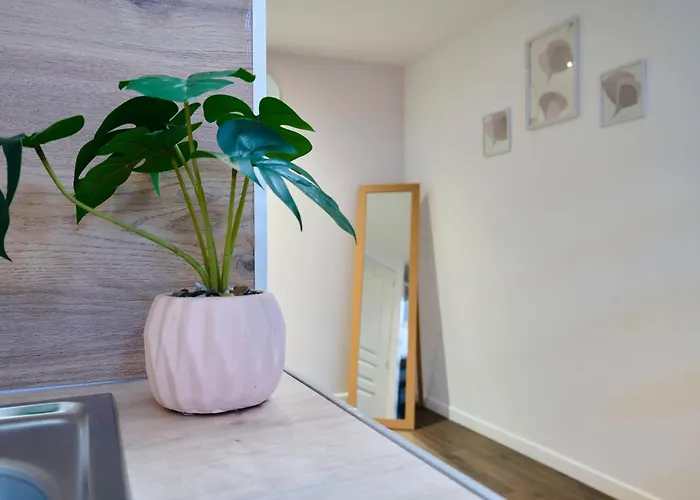 Ng Suitehome - Lille L Roubaix L Mairie - Gare L Nain - Grand Studio - Balneo - Netflix - Wifi