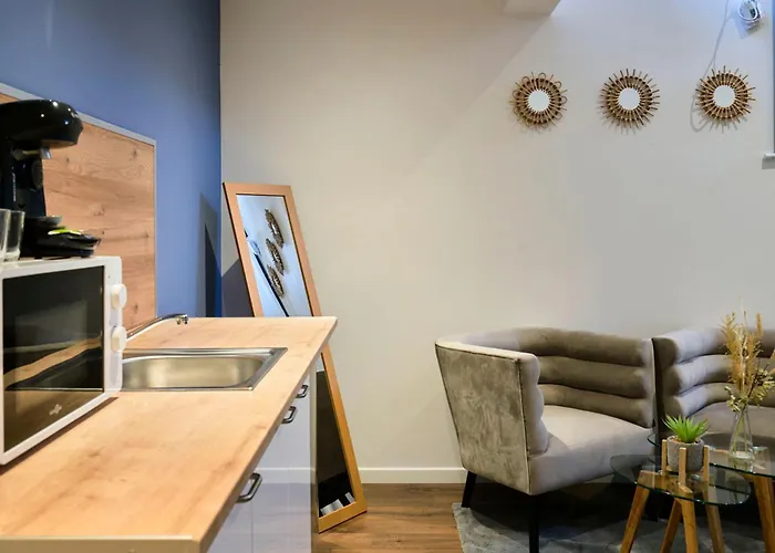 Ng Suitehome - Lille L Roubaix L Mairie - Gare L Nain - Grand Studio - Balneo - Netflix - Wifi