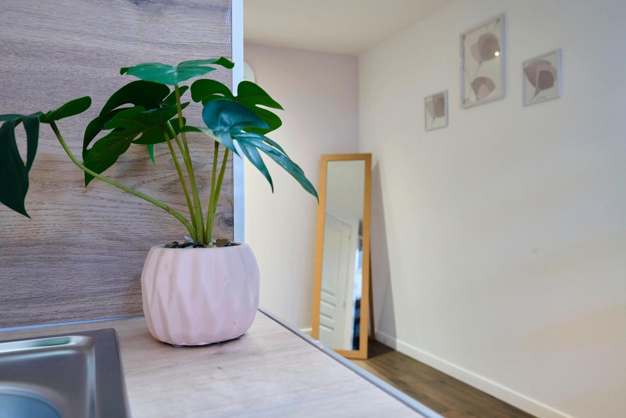 Ng Suitehome - Lille L L Mairie - Gare L Nain - Grand - Balneo - Netflix - Wifi
